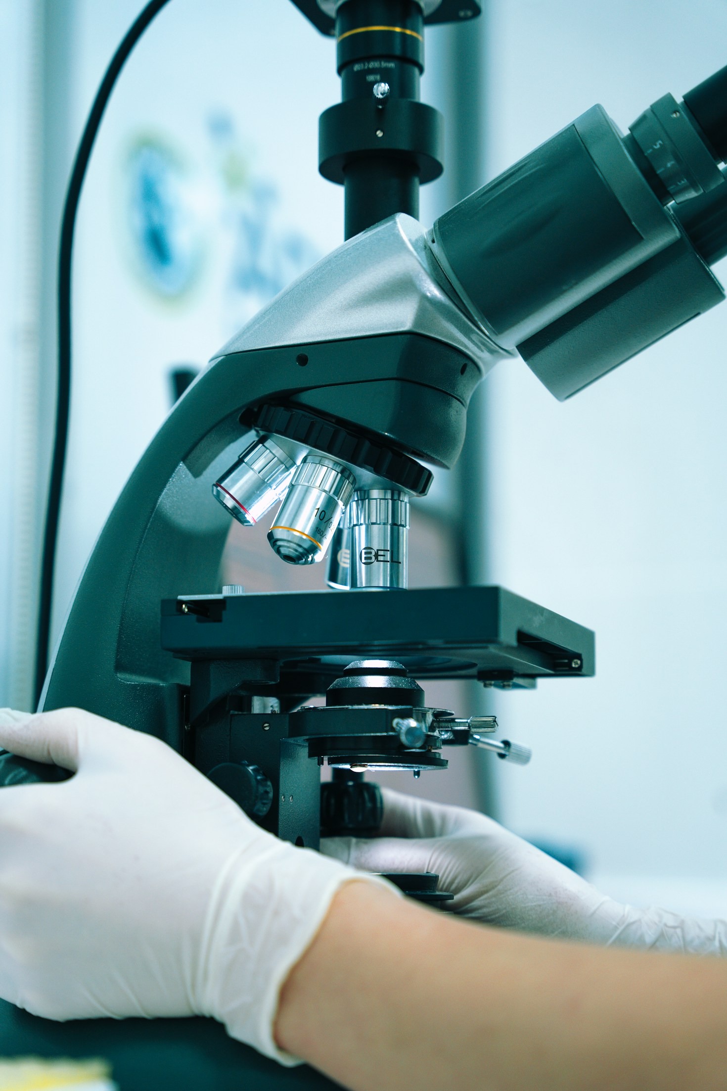 The Importance of Clarity in Modern Scientific Research