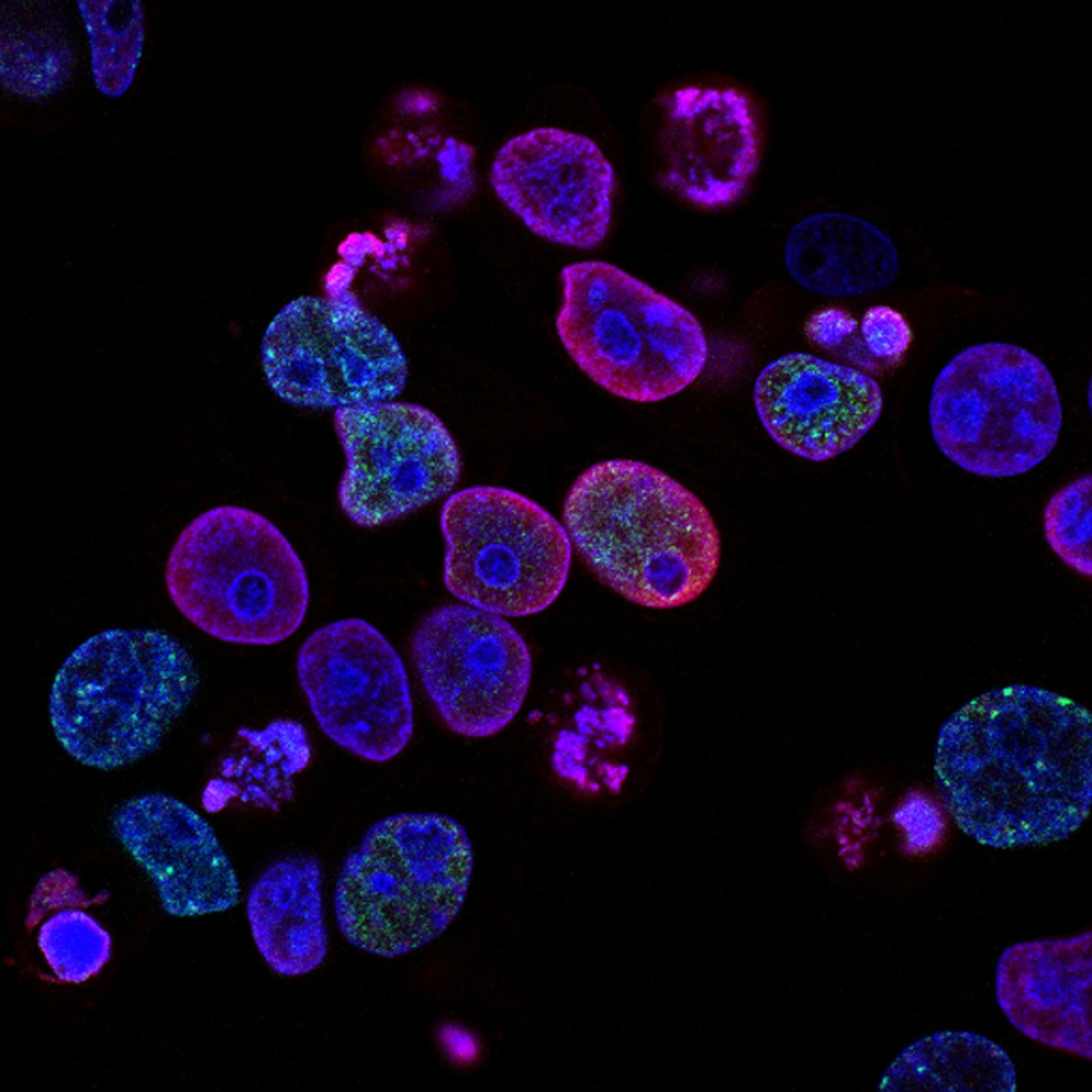 Optimizing Lab Efficiency for Better Research Outcomes